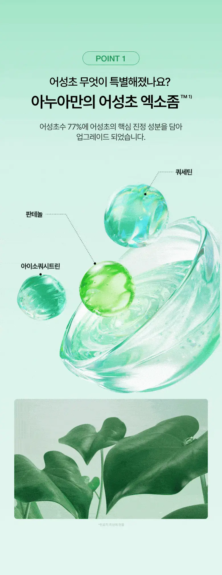 [NEW/리뉴얼] 아누아 어성초 77 B3 징크 수딩 크림 80ml 상세페이지 11